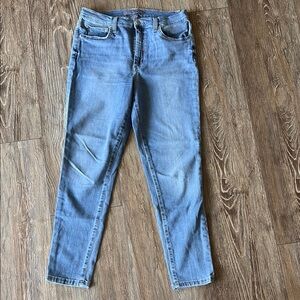 Joe's Jeans Blue Skinny Jeans